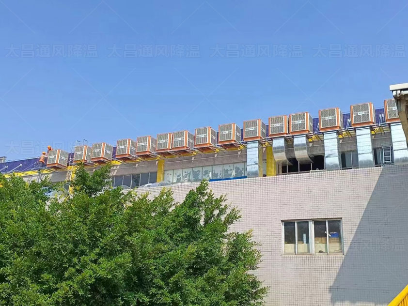 鐵皮廠房如何降溫，來這里了解更多方案